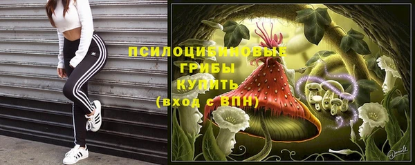 прущий лед Алексин