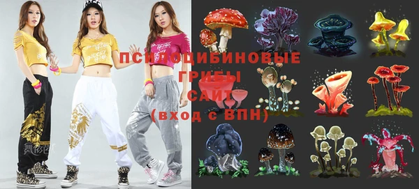 не бодяженный Аркадак