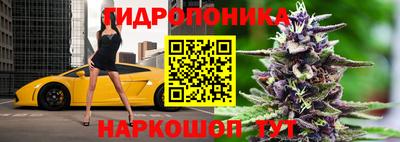 скорость Анапа