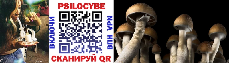 Псилоцибиновые грибы Magic Shrooms Мегион